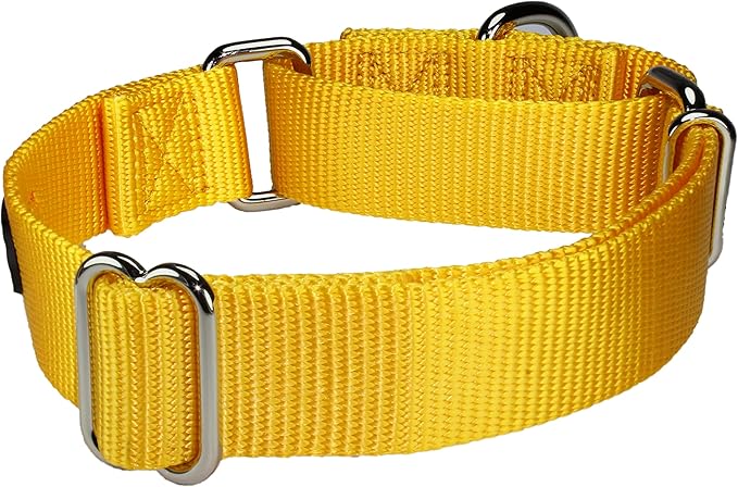 Mikivery Martingale Dog Collar Nylon Adjustable and Safety Training Colourful Comfortable Metal Buckle Pet Collars for Small Medium and Large Dogs(Yellow,M)
