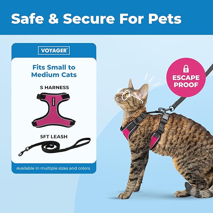 Voyager Escape Proof Cat Harness and Leash Set with Reflective Stitching, Neoprene Handle 5ft - Supports Small, Medium and Large Cats, Kittens for Walking by Best Pet Supplies - Black Trim-Fuchsia, S