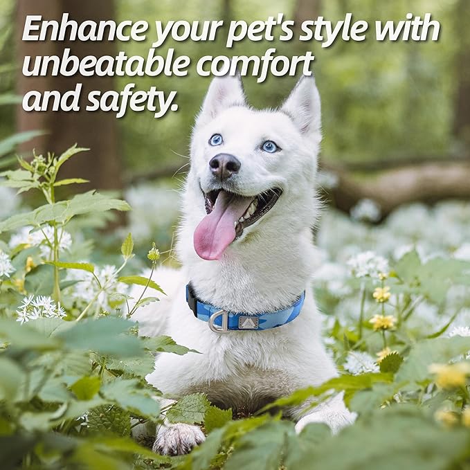 Soft Padded Dog Collar, Neck 9’’-14’’, Adjustable Heavy Duty Collar with 3M Reflective Logo for Small Dogs, Camo Blue, S