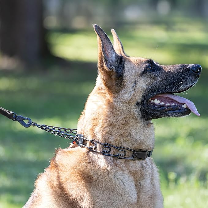 Herm Sprenger Black Stainless Steel Dog Collar with Quick Release ClicLock Buckle and Biothane Insert Training Collar Made in Germany (Black, 23in x 3.2mm(Neck Size up to19-20in))