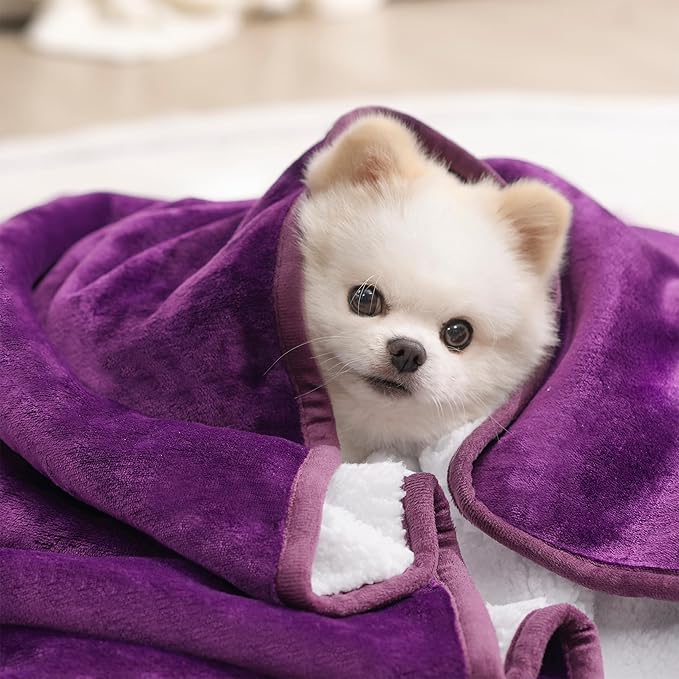 gogobunny Dog Blanket, Waterproof Reversible Sherpa Fleece Throw Blanket, Furniture Cover for Bed, Couch, Sofa Protection from Liquid Pee and Pet Fur of Puppy, Cat (Dark Purple, 30x70 inches)