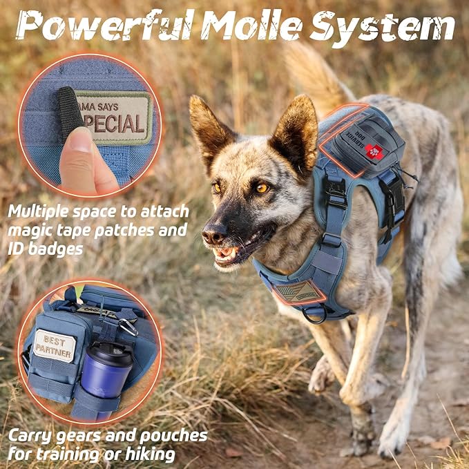 rabbitgoo Tactical Dog Harness for Large, Heavy Duty Pet Harness with Handle, No-Pull Service Vest Large Breed, Adjustable Military Dog Vest for Training Hunting Walking, Blue, L
