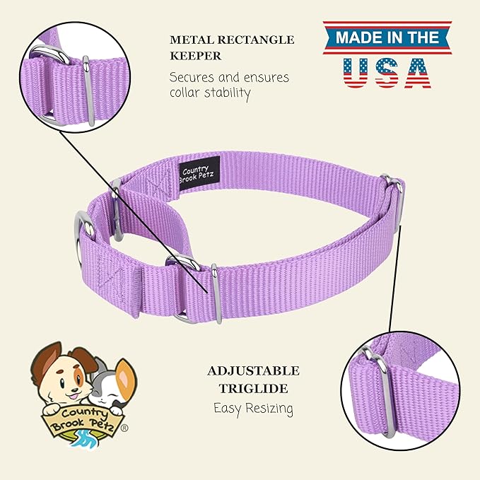 Country Brook Petz Martingale Dog Collar - Heavy-Duty Training Collar with No Buckle - Service Dog Collar for All Pups - Vibrant, Colorful Collection (Lavender, 1 Inch, Medium)