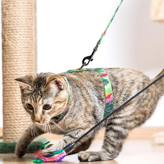 Leekalos Cat Harness and Leash for Walking,Cats Escape Proof - Adjustable Kitten Harness for Large Small Cats, Use Safe & Easy,Fit for Puppy,Rabbit