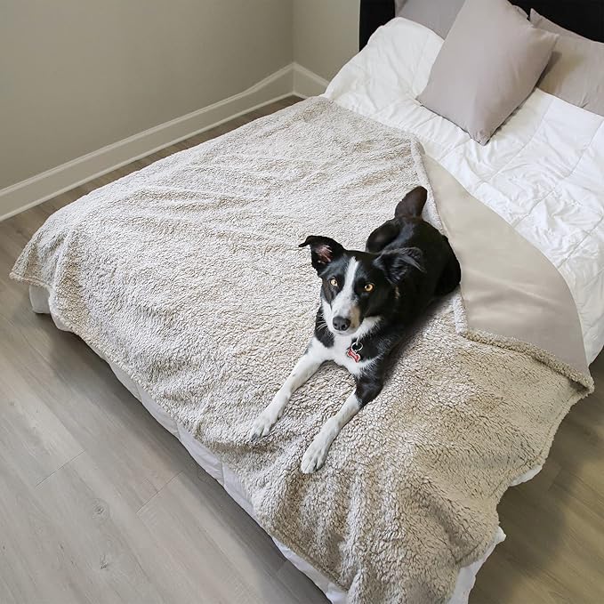 Kritter Planet Large Waterproof Bed Blanket for Intimacy, King Size Love Couples Bed Cover Leakproof, Reversible Protector Furniture Couch Cover for Dogs Pets, Washable, Stain Proof, Hair Resistant