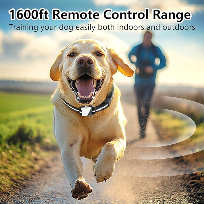 Shock Collar for Dogs, Dog Training Collar with Remote Control for 2 Dogs, 3 Training Modes with Beep, Vibration and Satic, Waterproof, Rechargeable E Collar for Large Medium Small