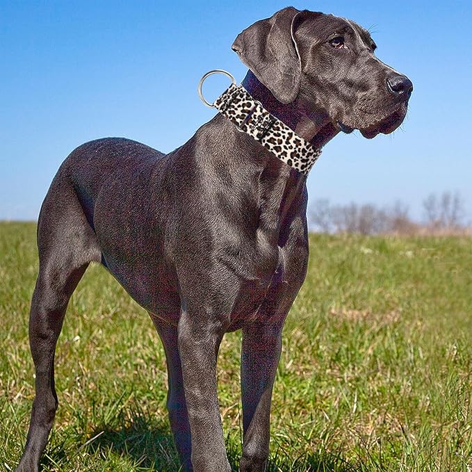 1.5 Inches Martingale Collar for Large Dogs,Wide Adjustable Heavy Duty Training Collars with Leopard Pattern,No Slip Dog Collar Perfect for Training,Walking, Hunting(Leopard L)