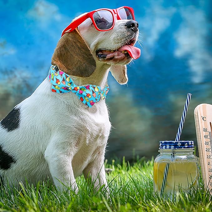 Summer Dog Collar with Bow Tie, Cotton Cute Bowtie Dog Collar, Summer Bowtie Collar for Medium Boy Girl Dog, Comfortable Blue Dog Collar with Metal Buckle, M