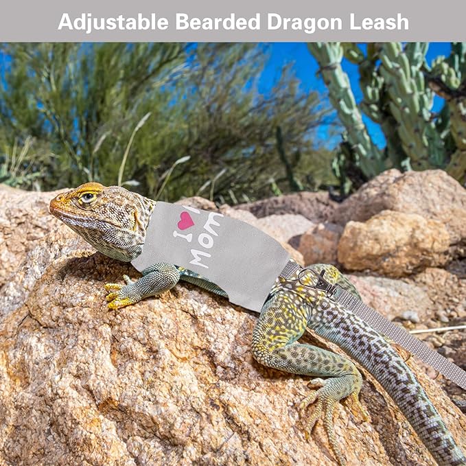 Bearded Dragon Harness and Leash Set Adjustable Reptile Lizard Leash Rope Vest Clothes Starter Kit Accessories for Small Animal Outdoor Walking Training