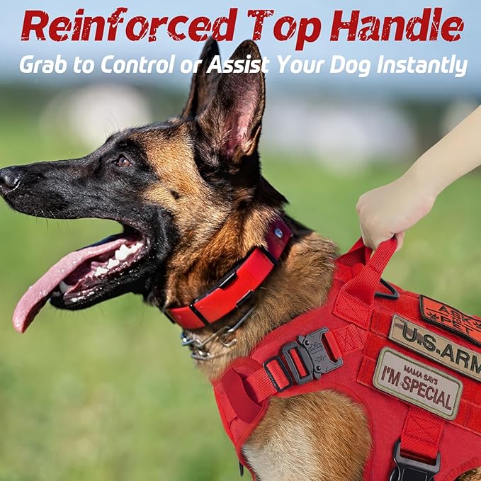 rabbitgoo Tactical Dog Harness for Small, Heavy Duty Pet Harness with Handle, No-Pull Service Vest Small Breed, Adjustable Military Dog Vest for Training Hunting Walking, Red, S