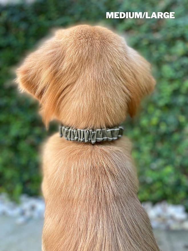 Heavy Duty Dog Collar With Handle | Ballistic Nylon Heavy Duty Collar | Padded Reflective Dog Collar With Adjustable Stainless Steel Hardware | Convenient Sizing for All Breeds