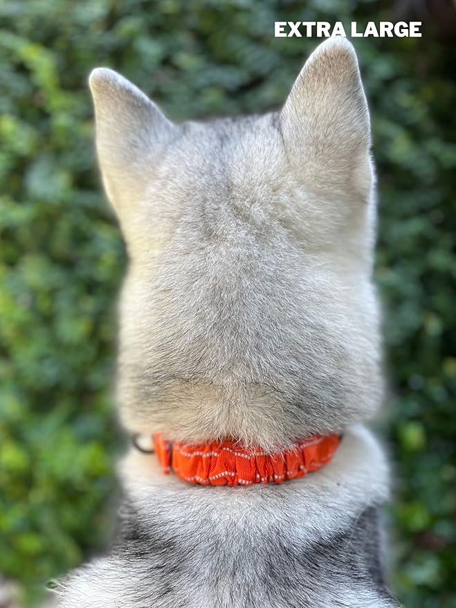 Heavy Duty Dog Collar with Handle | Ballistic Nylon Heavy Duty Collar | Padded Reflective Dog Collar with Adjustable Stainless Steel Hardware | Convenient Sizing for All Breeds X-Large (19-23" Neck)