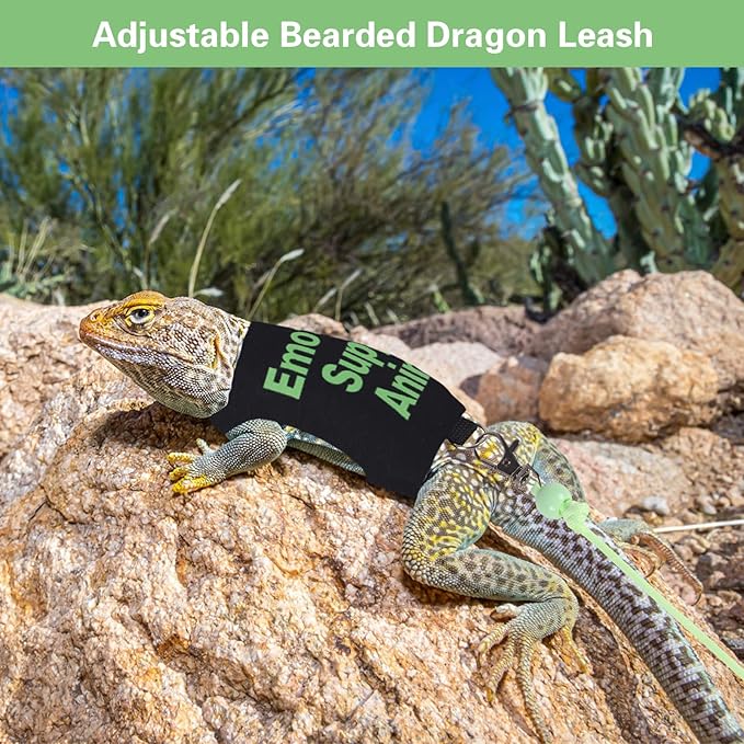 Bearded Dragon Harness and Leash Set Adjustable Reptile Lizard Leash Rope Vest Clothes Starter Kit Accessories for Small Animal Outdoor Walking Training