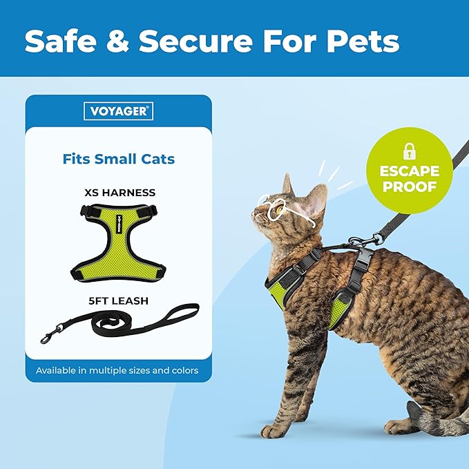 Voyager Escape Proof Cat Harness and Leash Set with Reflective Stitching, Neoprene Handle 5ft - Supports Small, Medium and Large Cats, Kittens for Walking by Best Pet Supplies - Black Trim-Lime, XS