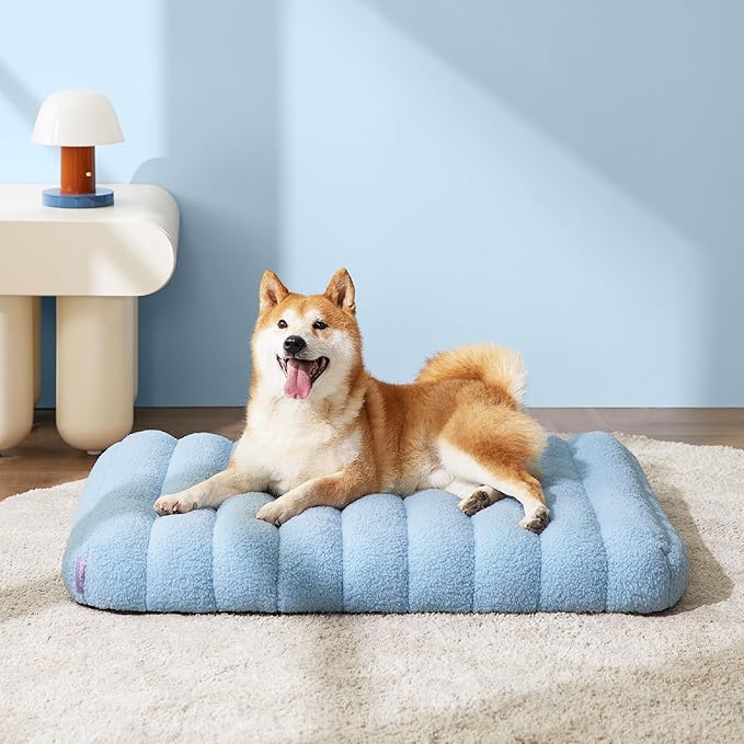 Lesure Cute Orthopedic Dog Bed Medium Size Dog, Waterproof Chic Flat Pet Beds with Removable Washable Cover, Fuzzy Thick Egg Crate Foam Pet Mat for Indoor Use (30" x 20", Blue)