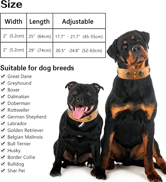 Leather Dog Collar for Large Dogs, 2" Wide Durable Thick Strong Genuine Leather Spike Dog Collar with Metal Buckle, Padded Collar with Studded Design for Large & XL Breeds (Orange,L,XL)