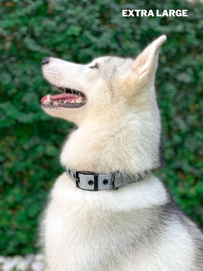 Heavy Duty Dog Collar with Handle | Ballistic Nylon Heavy Duty Collar | Padded Reflective Dog Collar with Adjustable Stainless Steel Hardware | Convenient Sizing for All Breeds X-Large (19-23" Neck)