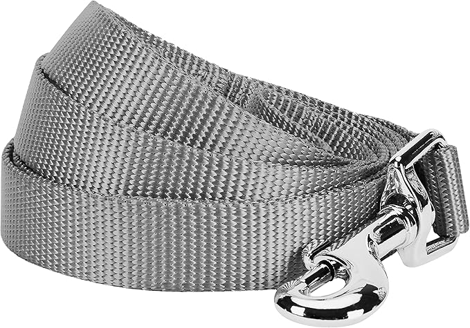 Blueberry Pet Essentials Durable Classic Dog Leash | Basic Nylon Dog Leash | 5ft. x 5/8" Small Dog Leash | Flint Gray Dog Leash | Standard Dog Leashes & Lightweight Dog Leash for Training