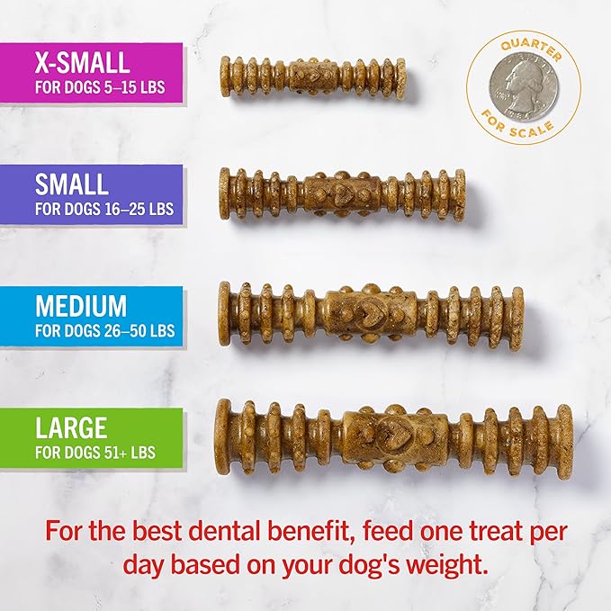 Stella & Chewy's Dental Delights with Freeze-Dried Chicken - Small Dental Treats for Dogs, 10.5 Ounce Bag