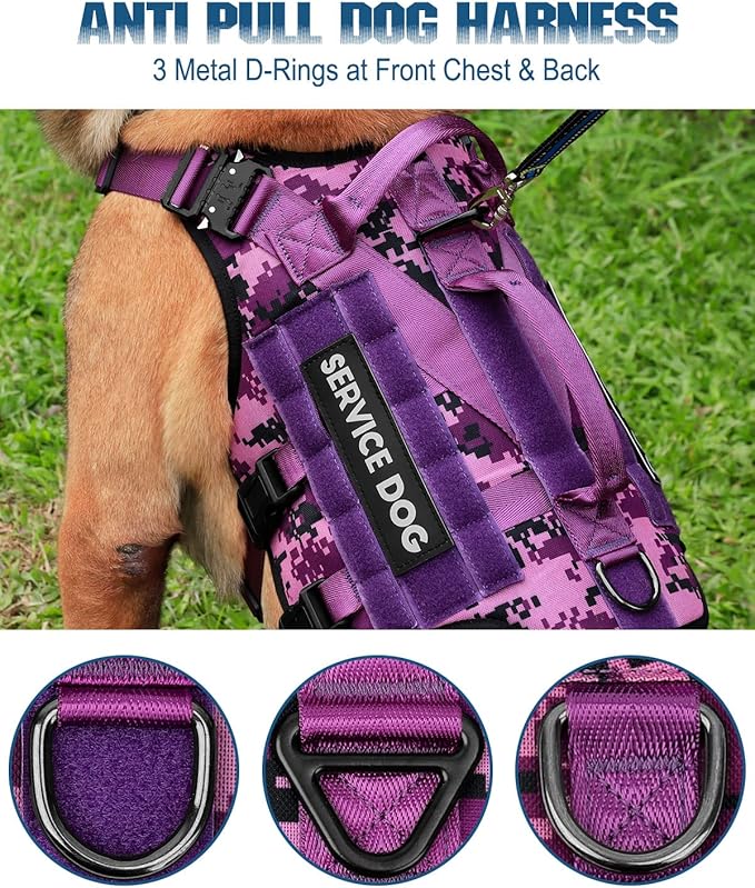 Tactical Dog Harness - PETNANNY Dog Harness Service Dog Vest for Large Breed Dog, Hook and Loop Panel for Service Dog Patchs, Work Dog MOLLE Vest with Handle for Walking Hiking Training(Purple Camo,M)