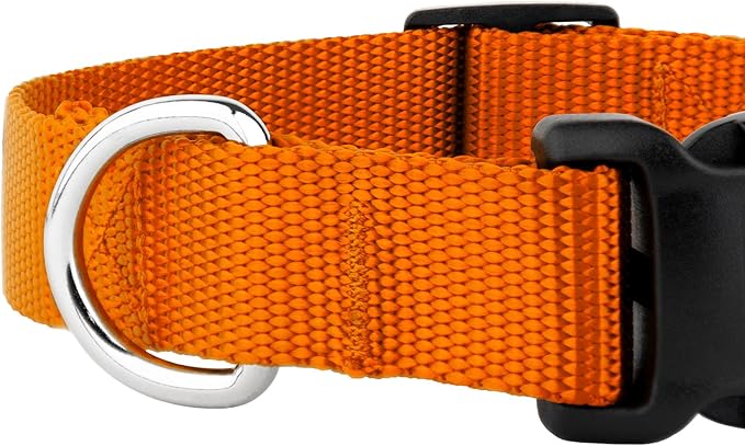 Country Brook Petz - American-Made Dog Collar for Large, Medium, and Small Dogs and Puppies - Deluxe Heavy Duty Nylon in 33 Dazzling Colors (Extra Large, 1 Inch Wide, Orange)