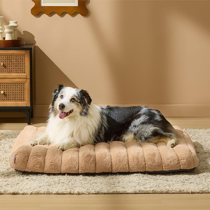 Lesure Cute Orthopedic Dog Bed Large Sized Dog, Waterproof Chic Flat Pet Beds with Removable Washable Cover, Fuzzy Thick Egg Crate Foam Pet Mat for Indoor Use (36" x 27", Beige)