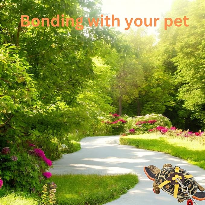 Adjustable Tortoise Leash and Funny Skateboard Set, Training Harness and Mini Skateboard for Turtle Dragon Bearded Lizard Small Pets, Pet Tortoise Toys, Accessories for Tortoises (Small)