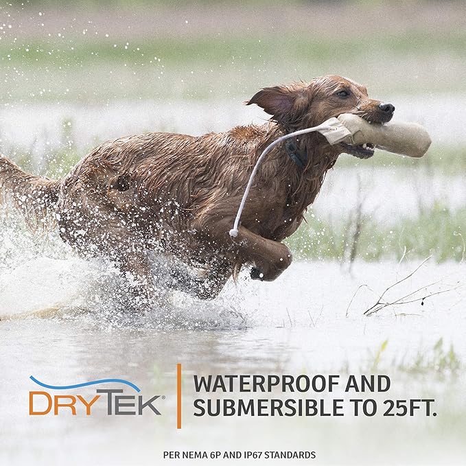 SportDOG Brand FieldTrainer 425X Remote Trainer - 500 Yard Range - Waterproof, Rechargeable Dog Training Collar with Static, Vibrate, and Tone
