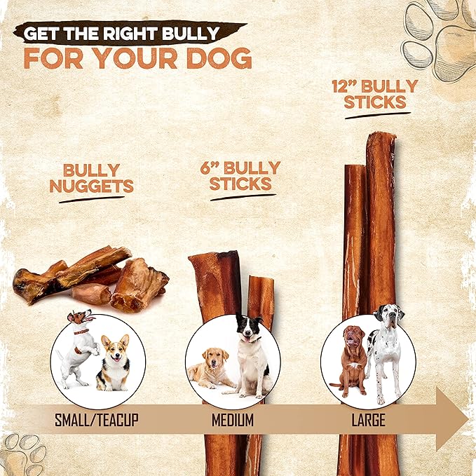 BRUTUS & BARNABY Thick Bully Sticks for Dogs – Odor Free Chews for Large, Medium & Small Breeds – Grain-Free, Rawhide-Free, Digestible Dog Treats – Grass-Fed Beef Chews for Aggressive Chewers