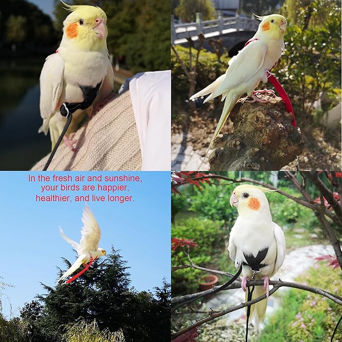 Adjustable Bird Harness with 80 Inch Leash, Outdoor Flying Kit Training Rope for Bird Parrots Cockatiel S Size Weight 70-120 Grams, 2 Pieces