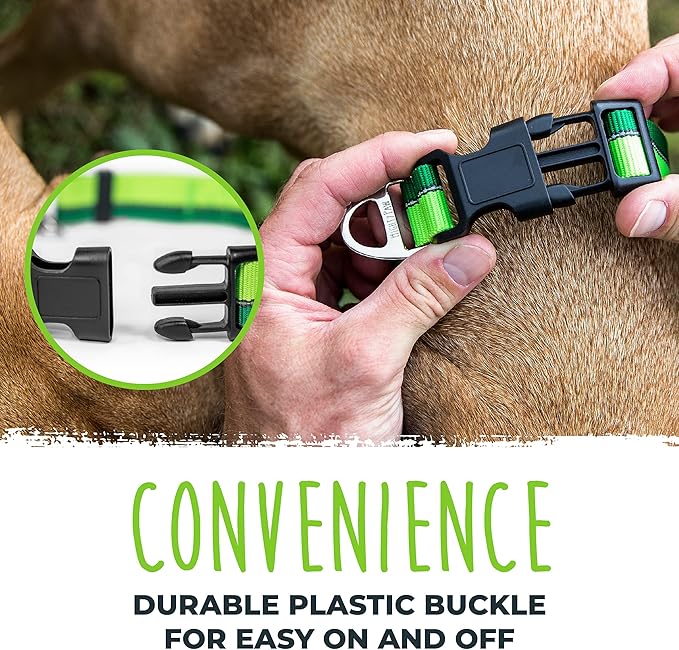 Mighty Paw Martingale Dog Collar 2.0 | Trainer Approved Limited Slip Collar with Stainless Steel Chain & Heavy Duty Buckle - Modified Cinch for Gentle & Effective Pet Training - Large, Green