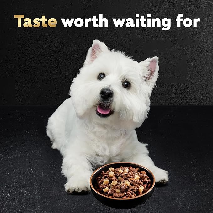 Cesar Home Delights Adult Wet Dog Food, Pot Roast with Spring Vegetables Dinner in Sauce, 3.5 oz. (24 Count, Pack of 1)
