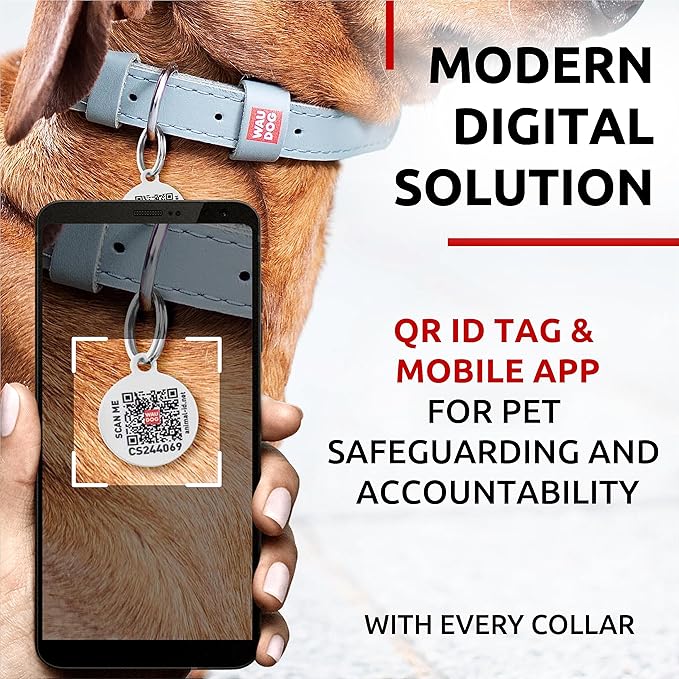 WAUDOG Long Lasting Leather Dog Collar for Large Dogs, Medium & Small Dogs - Adjustable Classic Puppy Collars for Large Breed Dogs - Boy & Girl Dog Collars with Durable Buckle, D-Ring & QR Dog Tag