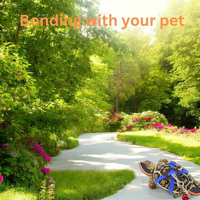 Tortoise Harness and Leash with Toy Skateboard for Turtle set, Funny Tortoise Skateboard and Adjustable Leather Harness Leash, Training Skateboard and Turtle Harness Leash Pet Tortoises Toys (Blue, S)