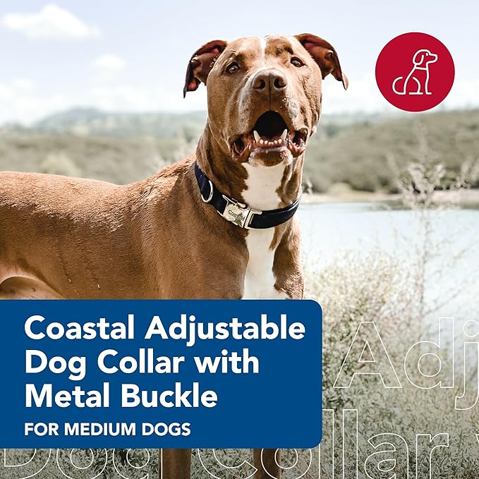 Coastal Pet Adjustable Dog Collar with Metal Buckle - Comfortable Fade-Resistant Dog Collar with Snap Lock - Perfect for Walking & Tie Outs - Black, 3/4" x 14" x 20"