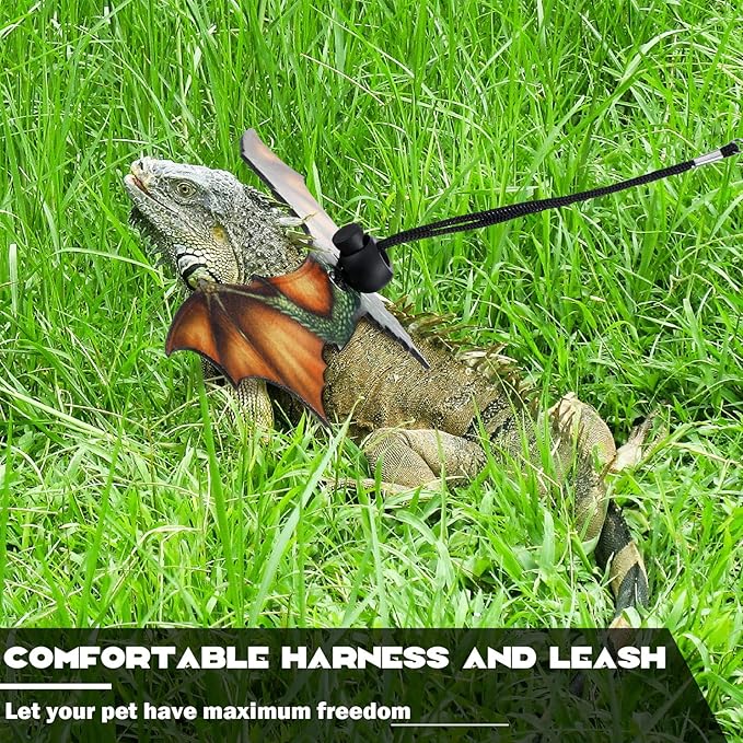 Weewooday 3 Pack Bearded Dragon Leash Harness Removable Lizard Leash for Dragons Reptiles, Safety Outdoor Walking, S, M, L,(Orange)