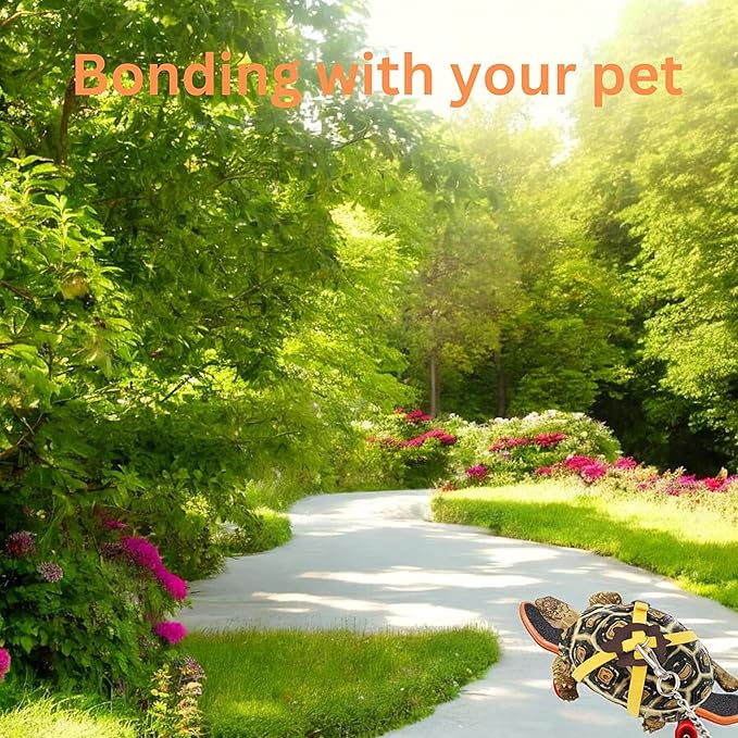 Adjustable Tortoise Leash Funny Skateboard Set, Training Harness Mini Skateboard for Turtle Dragon Bearded Lizard Small Pets, Pet Tortoise Toys, Accessories Tortoises (Pink Large)