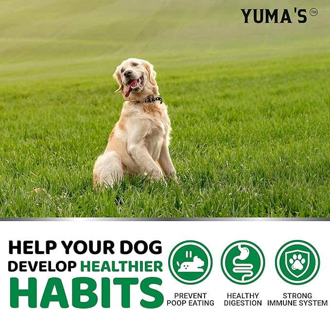 No Poo Chews for Dogs - 170 Ct - Coprophagia No Poop Eating Deterrent for Dogs - Stop Eating Poop for Canine - Probiotics & Digestive Enzymes Supplement - Made in USA