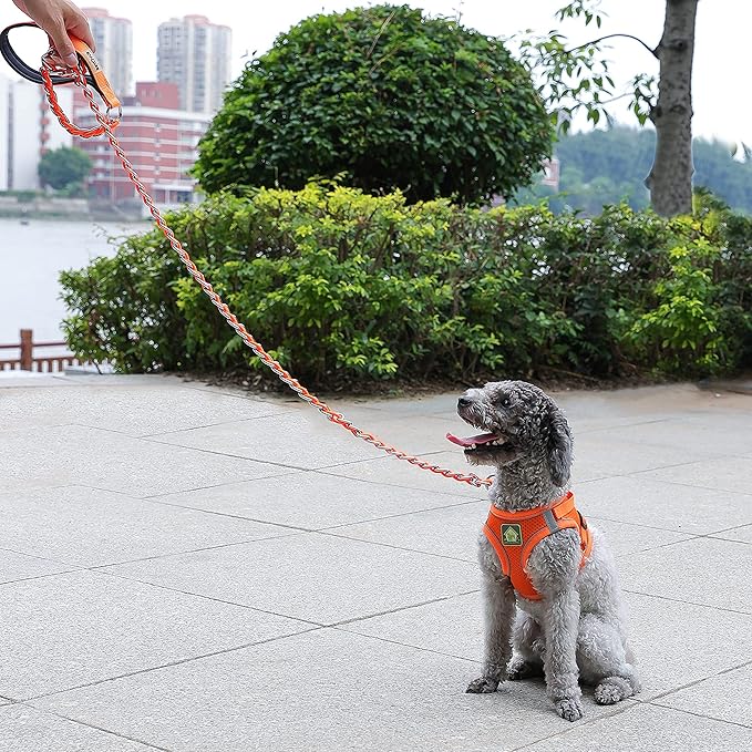 Chew Proof Metal Leash for Medium Large Dogs, 5.2FT Strong Anti Bite, Comfortable Soft Padded Handle Orange