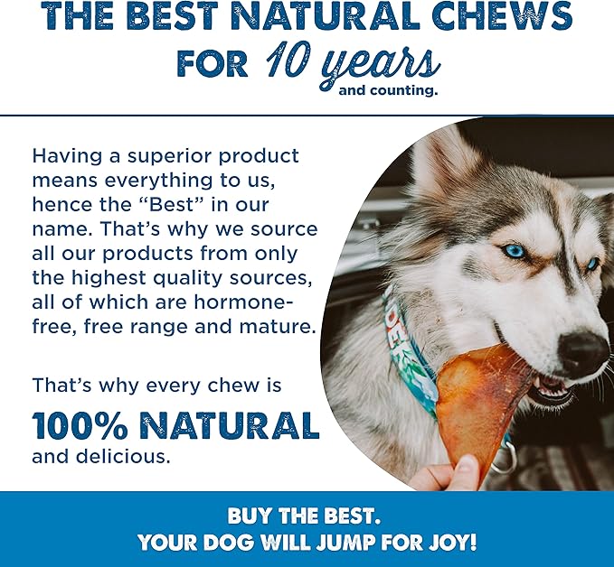 Best Bully Sticks Pig Ears - 25 Count (Pack of 1) - All Natural, USA Baked and Packed, Single Ingredient, Easily Digestible 100% Pork Chew Treat - Puppies, Small, Medium, Large Dogs
