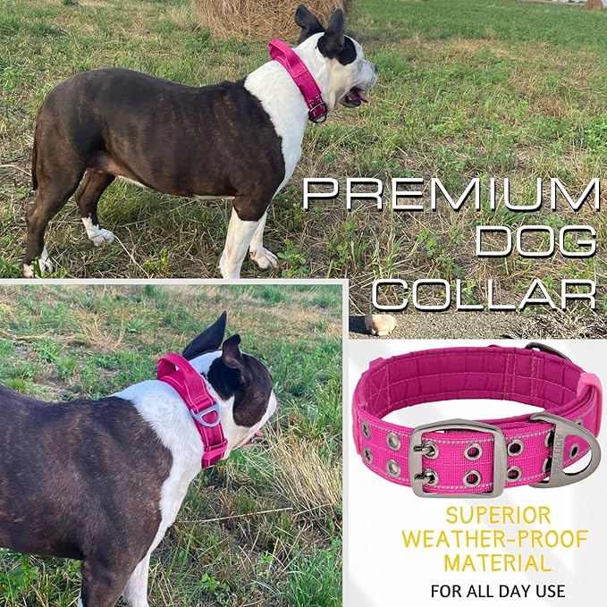 ADITYNA Heavy Duty Dog Collar for Medium Dogs - Reflective Magenta Collar with Handle for Training, and Walking - Wide, Thick, Tactical, Soft Neoprene Padded