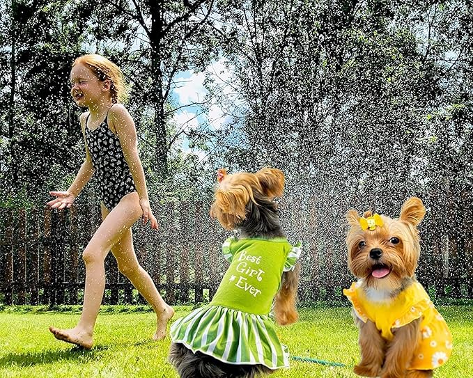 XPUDAC 4 Pieces Dog Dress Girl Clothes for Small Dogs Girl Flower Puppy Dresses for Dogs Apparel Colorful Small Dog Clothes Female (XS, 4 Flower)