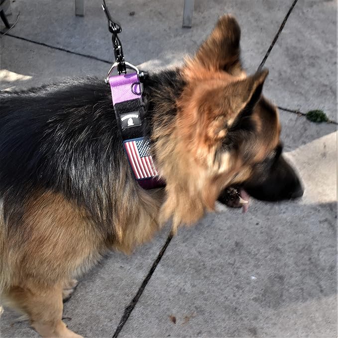 Tactical Dog Collar 2 Inch Wide Thick Heavy Duty Military Style with Metal Buckle, Adjustable for Medium - Large Breeds, Durable K9 Training Gear with Patch Area, USA Flag Patch, Strong and Secure Fit