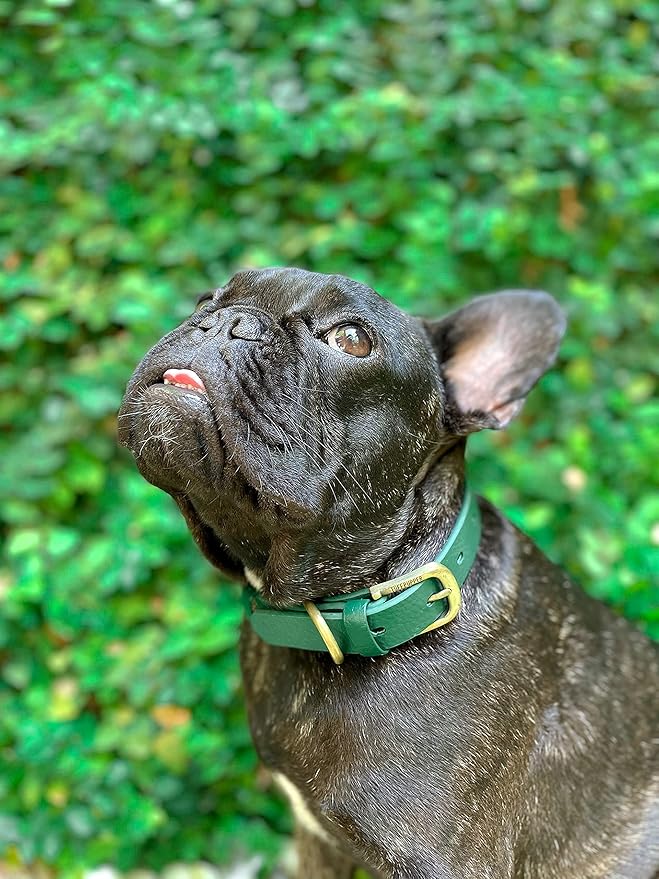 Tuff Pupper Classic Heavy Duty Dog Collar | 10x Stronger Than Leather | 100% Waterproof & Odor Proof Dog Collar | Tough Rust-Proof All Metal Hardware