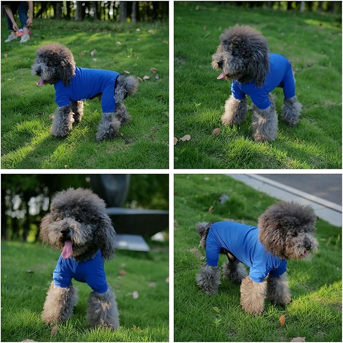 LoveLongLong Dog Jumpsuit with UV Protection and Quick-Dry Fabric for Spring Summer Pet Pajamas Royel Blue XL