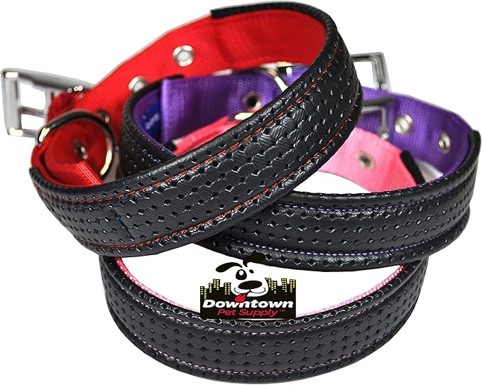 Downtown Pet Supply Deluxe Dog Collar - Padded Adjustable Dog Collar with Metal Buckle & D-Ring - Machine Washable & Water Resistant Thick Dog Collar - Purple - S - Small Dog Collar