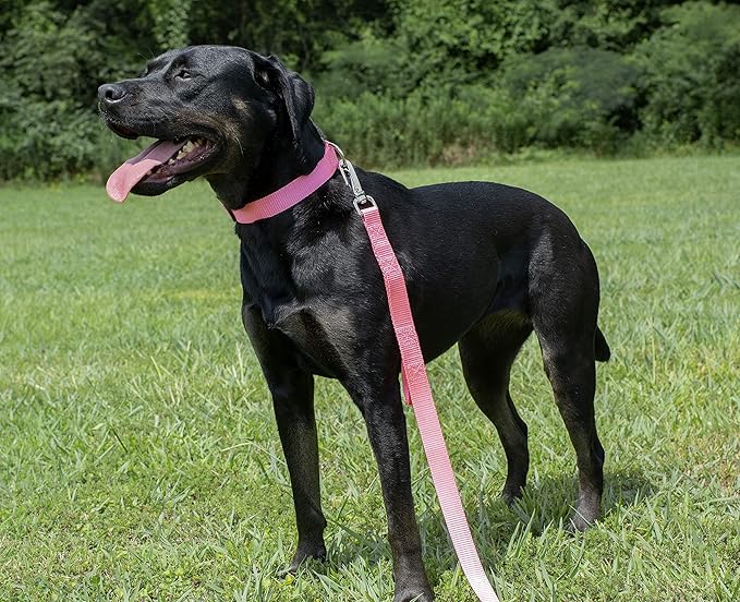 Country Brook Petz - American-Made Dog Collar for Large, Medium, and Small Dogs and Puppies - Deluxe Heavy Duty Nylon in 33 Dazzling Colors (Small, 3/4 Inch Wide, Pink)
