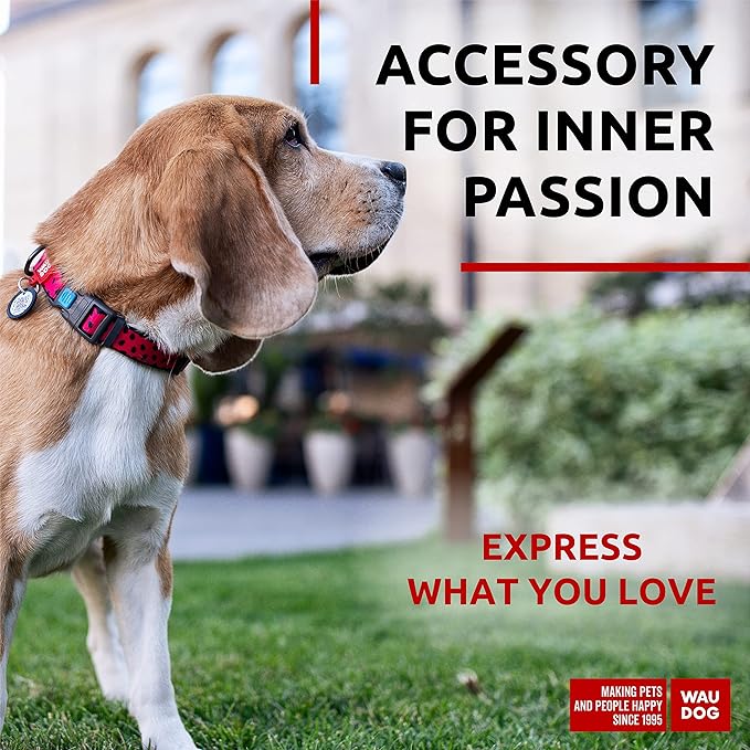 WAUDOG Nylon Dog Collar - Adjustable Dog Collar for Large Dogs, Small & Medium Dogs - Breakaway Puppy Collars for Large Breed Dogs - Boy & Girl Dog Collars with Durable Plastic Buckle and QR Dog Tag