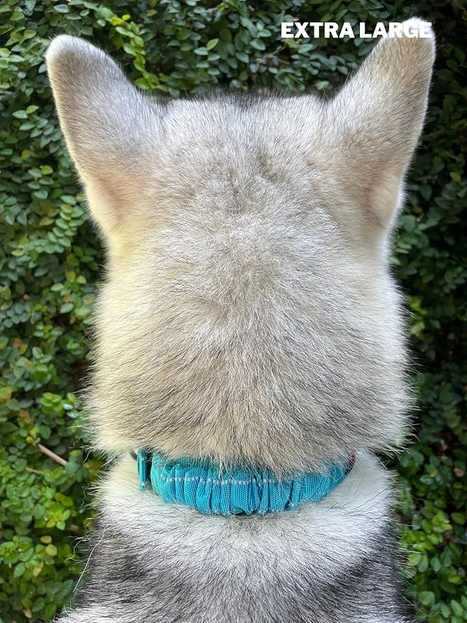 Tuff Pupper Heavy Duty Dog Collar with Handle | Ballistic Nylon Heavy Duty Collar | Padded Reflective Dog Collar with Adjustable Stainless Steel Hardware | Convenient Sizing for All Breeds