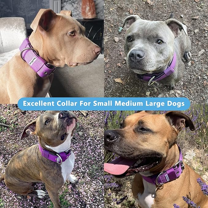 Heavy Duty Tactical Dog Collar - 1.5" Width Military Durable Thick Nylon with Adjustable Metal D Ring & Buckle Working Training K9 Collar for Medium Large Dogs (M(17"-20"), Purple)